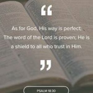 Meet your Posher, Johna